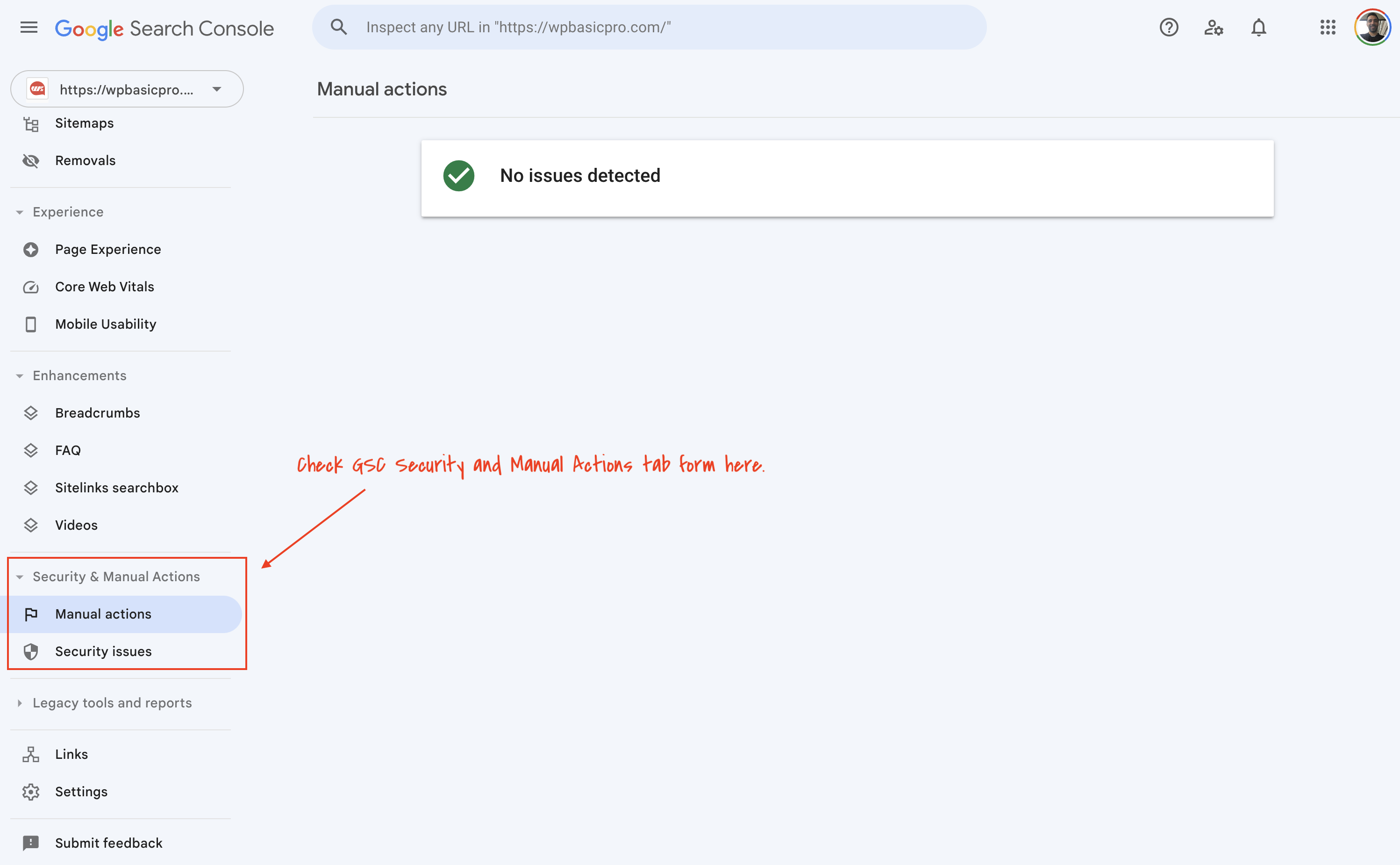 GSC Manual action security issues