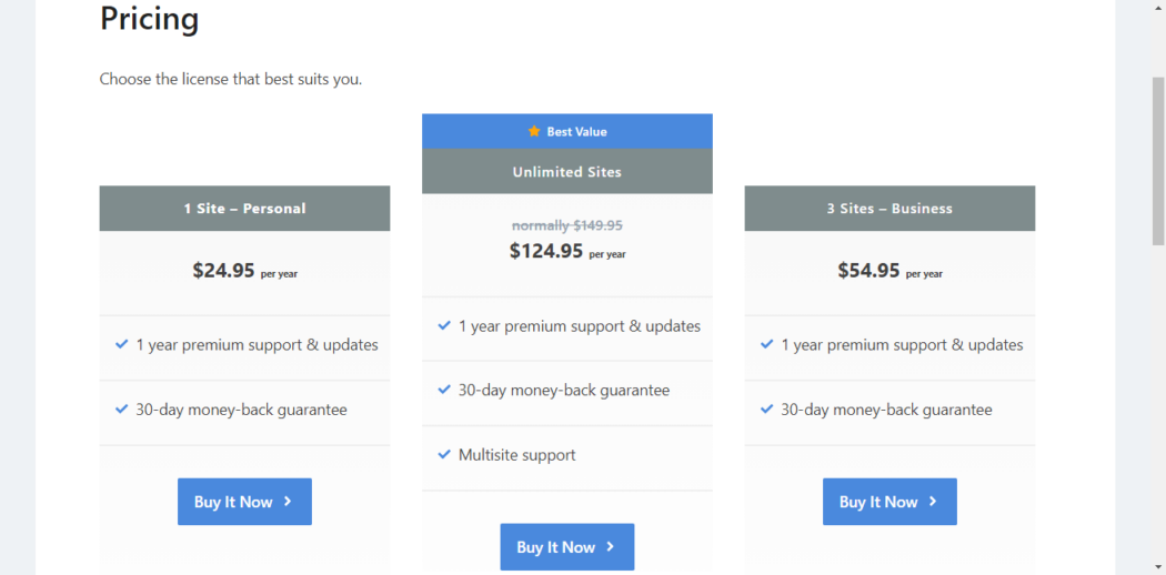 Perfmatters pricing plans