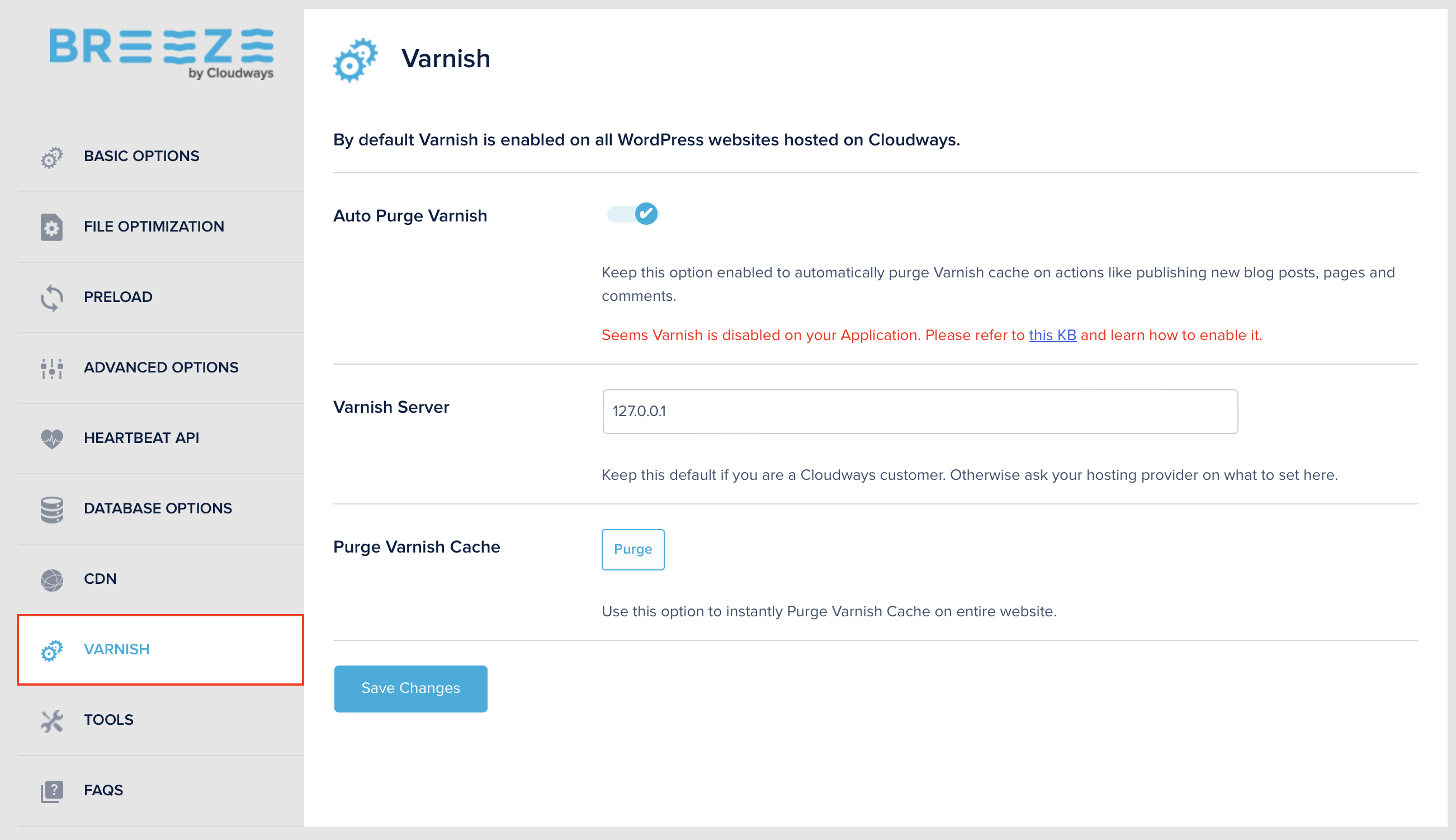 How Premium Managed WordPress Hosting Like Cloudways Can Achieve Lightning-Fast Website Performance 3